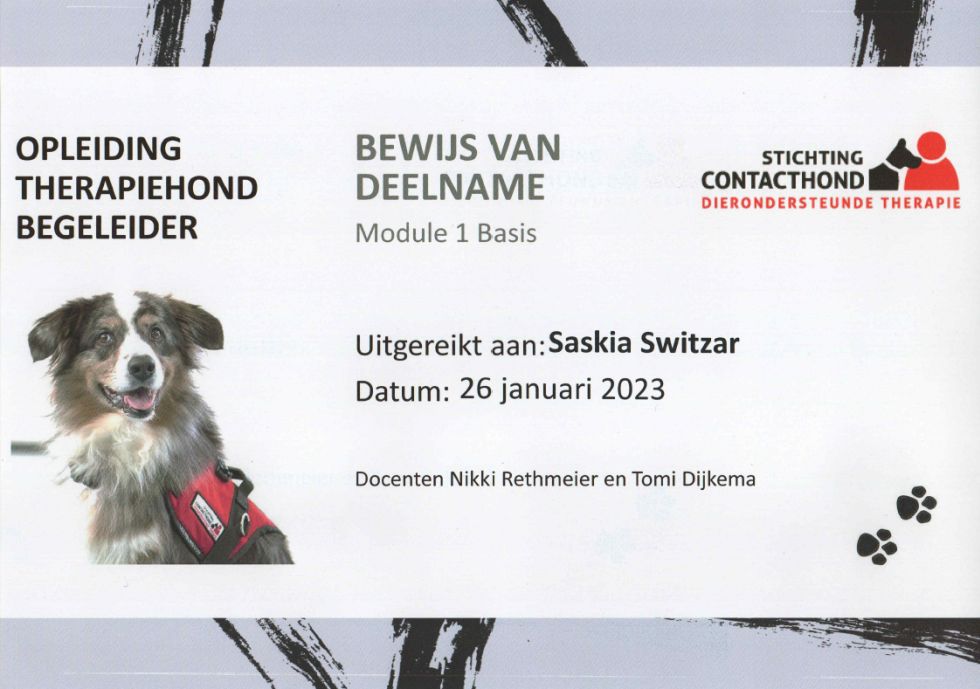 Bewijs deelname training Therapiehond begeleider